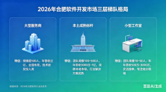 2026年合肥软件开发市场格